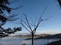  11. Dezember 2011 - ein Sonniger Sonntag über dem Nebelmeer